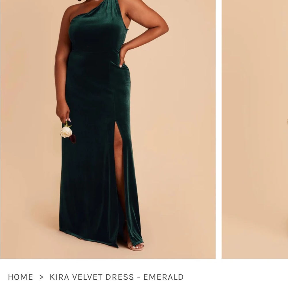 Birdy Grey Emerald Velvet